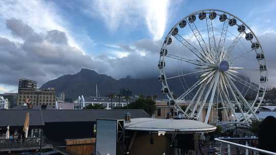 Cape Town diary: Of two-minute showers, Afrikaans slang and the Amla Army