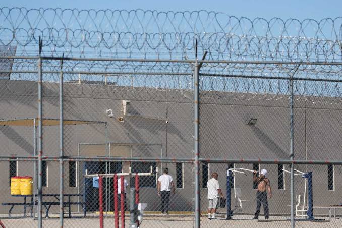 Former private prison official to serve as acting ICE chief