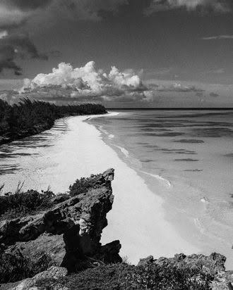 What We Know About the Disappearance of Lynette Hooker