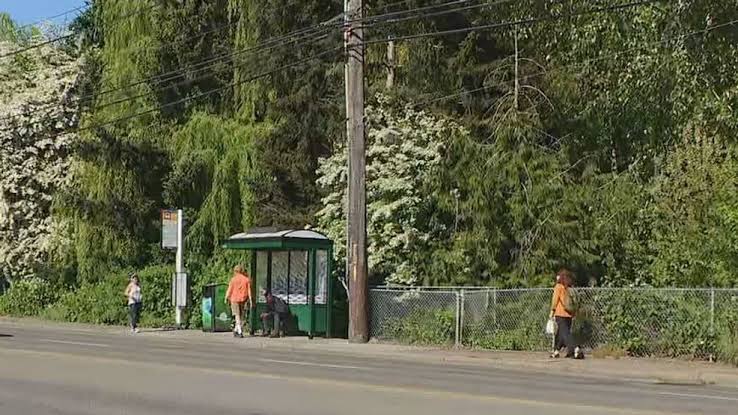 Residents shaken after 15-year-old assaulted near Northgate bus stop; suspect in custody