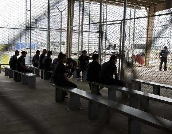Death rate in immigration detention has reached a 22-year-high, raising physicians' concerns