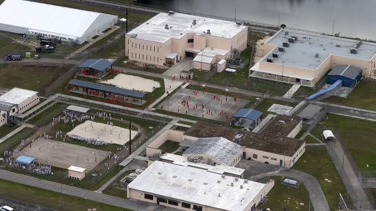 Trump's mandatory detention policy fails in Florida appeals court