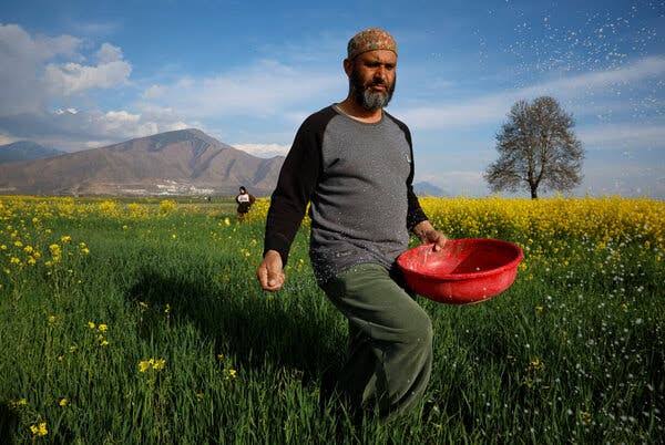 Global Food Supply Faces a Dangerous Bottleneck as Iran War Persists