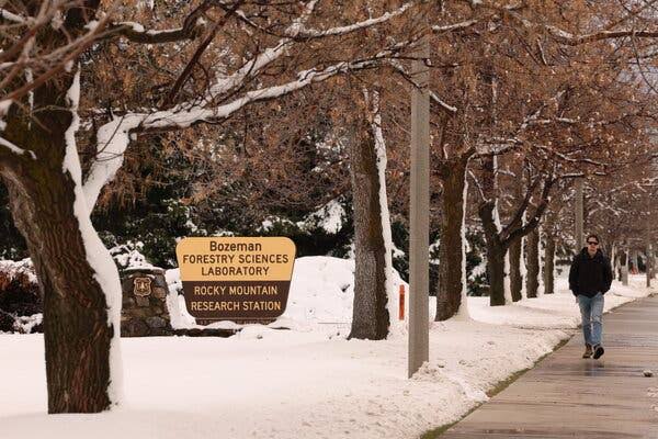 Forest Service Will Close Research Stations That Study Wildfire Risk