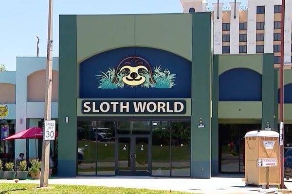 31 Sloths Acquired by an Orlando Animal Attraction Died, Officials Say