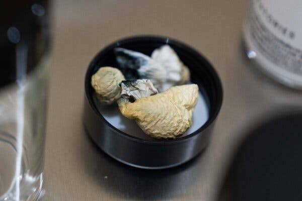 Trump Signs Executive Order to Loosen Restrictions on Psychedelic Drugs