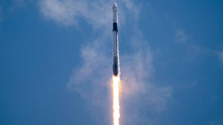 Elon Musk's SpaceX files to go public