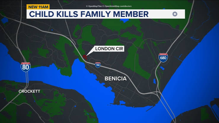 Child fatally shoots family member in self defense at Benicia home on London Circle in domestic violence incident, police say