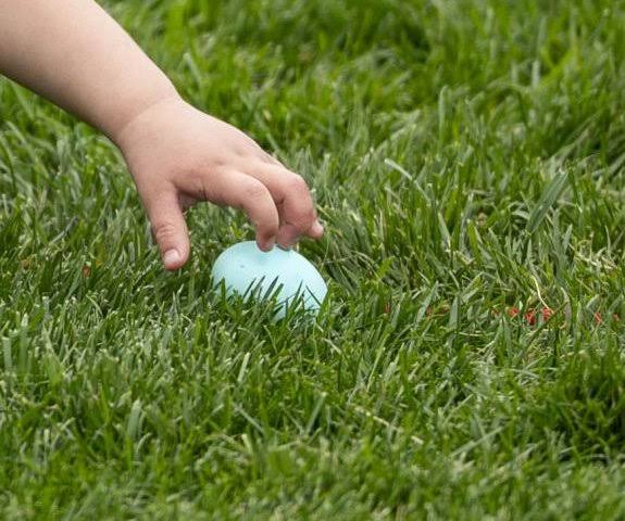 Three killed in Germany when wind fells tree during Easter egg hunt