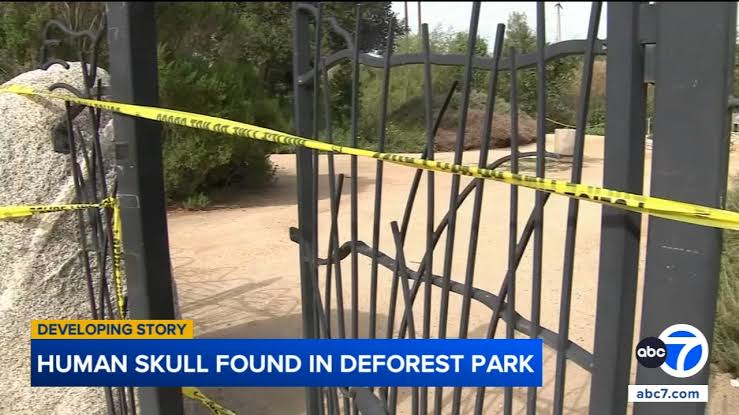 Human skull found during Easter egg hunt at park in Long Beach, police confirm
