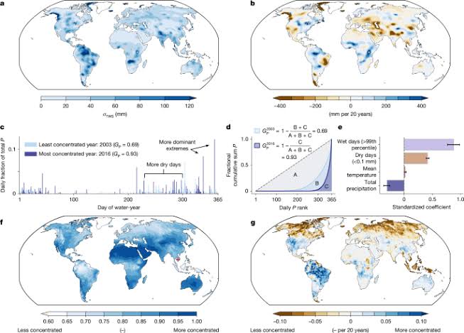 More concentrated precipitation decreases terrestrial water storage
