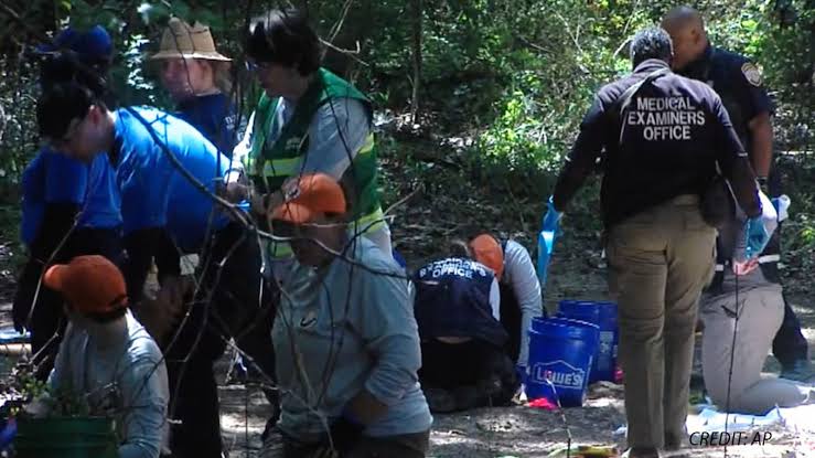 Human remains belonging to multiple young children found in Memphis: Police