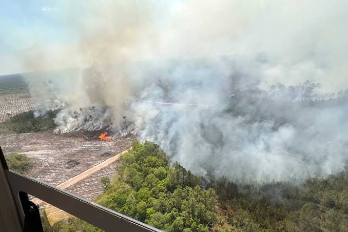 A fast-growing Georgia wildfire tops 31 square miles, with evacuations possible