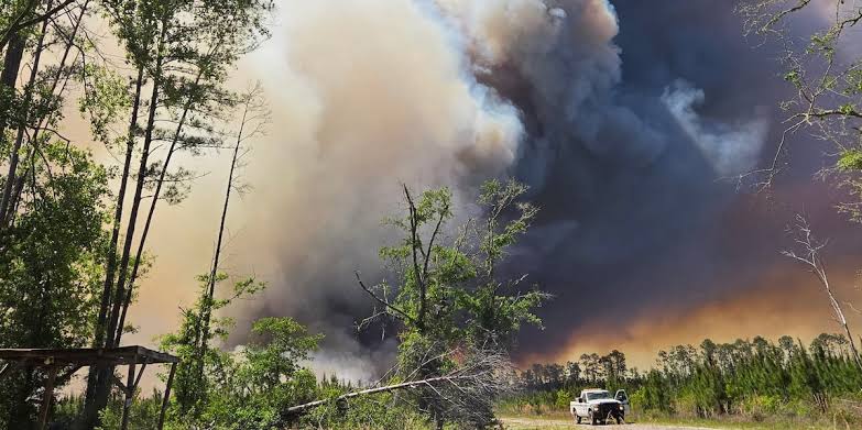 Crews battling 15 new wildfires, Georgia Forestry Commission says