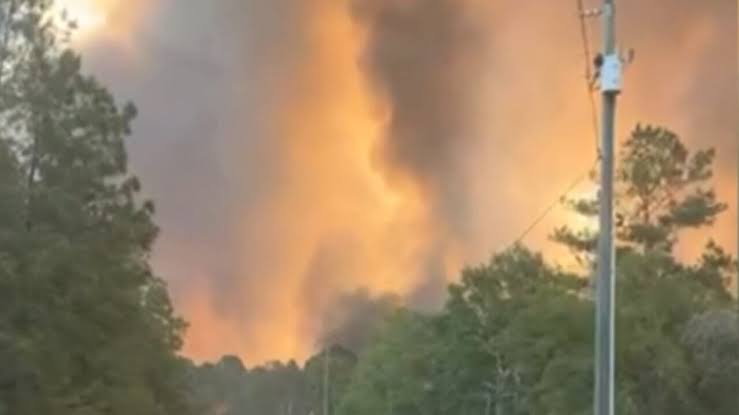 ‘All are welcome’: Third wildfire shelter opens in south Georgia