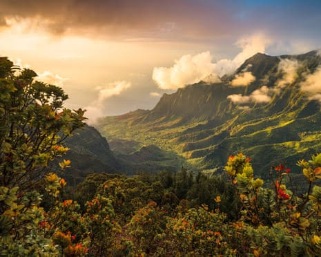 Three killed as tourist helicopter crashes on Hawaiian island of Kauai