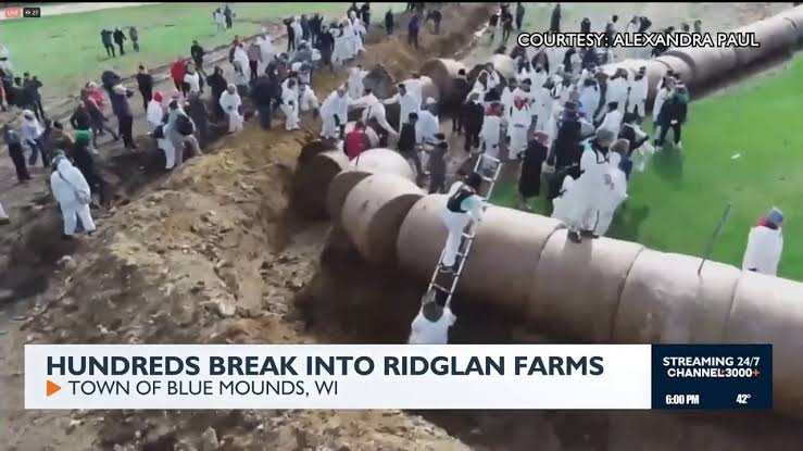 Animal rights activists break into Ridglan Farms