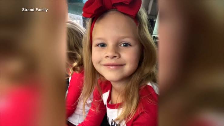 Athena Strand case: Former FedEx driver Tanner Lynn Horner pleads guilty to killing girl after delivery at her Texas home