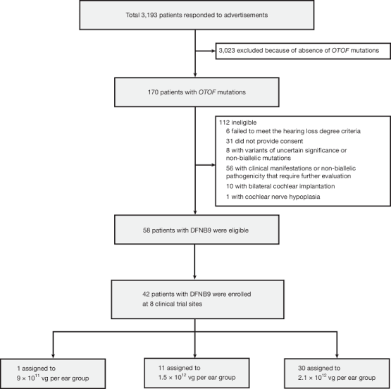 Multicentre gene therapy for OTOF -related deafness followed up to 2.5 years