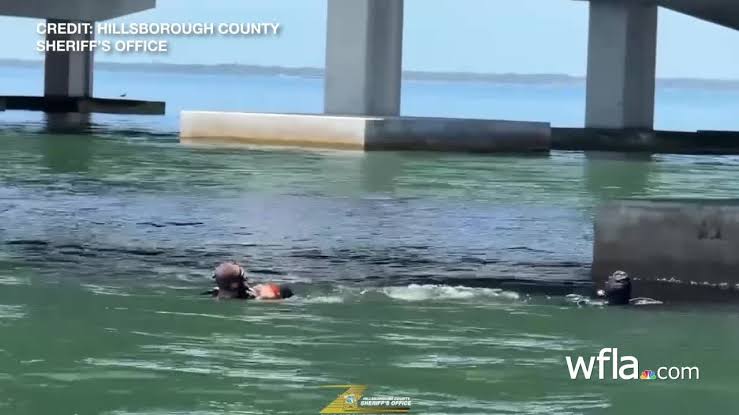 Dive teams search for other missing USF student after Zamil Limon’s remains found on Howard Frankland Bridge