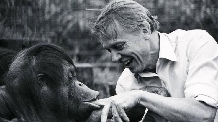 David Attenborough, the excited but hushed voice of nature programs, turns 100