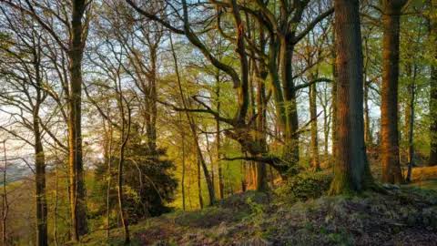 Sir David Attenborough inspires creation of nature recovery zones
