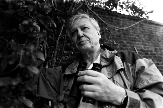 At 100, David Attenborough Is Nature’s Most Trusted Voice