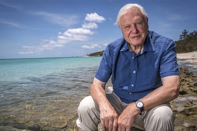 From fossicking for fossils to a champion for life on Earth: Sir David Attenborough at 100