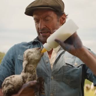 Critics Are Weepy for The Sheep Detectives