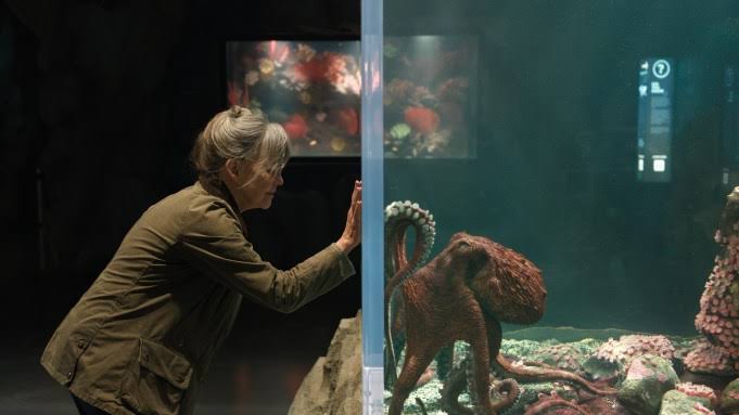'Remarkably Bright Creatures' Review: Sally Field, Lewis Pullman & Marcellus