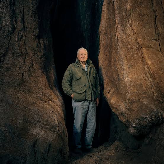 David Attenborough Turns 100