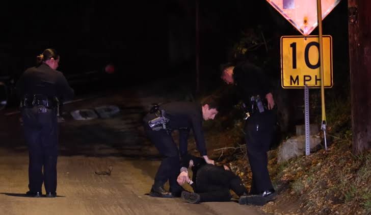 ‘Suite Life of Zack & Cody’ actor Dylan Sprouse tackles trespasser at L.A. home: reports