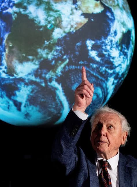David Attenborough, a Voice of Nature, Turns 100