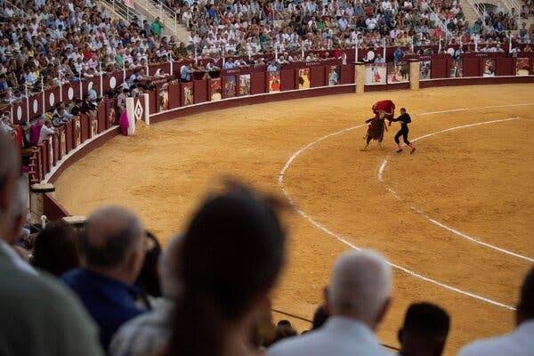 Former Matador Is Gored to Death Before Annual Bullfight in Spain