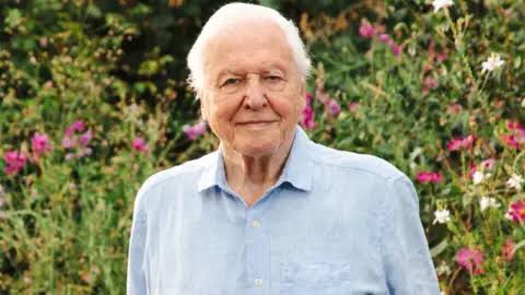 David Attenborough's 'secret superpower' celebrated on 100th birthday