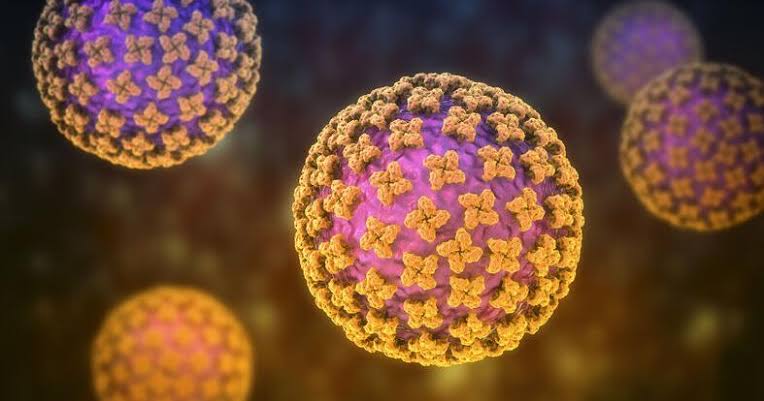 Hantavirus case confirmed in Quad-County region near Carson City