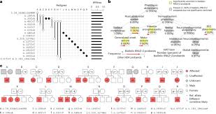 Biallelic variants in RNU2-2 cause the most prevalent known recessive neurodevelopmental disorder