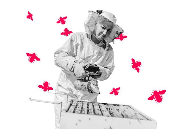 There Are Certain Things You Just Can’t Do in the Suburbs. My Wife Might Harm the Neighbors.