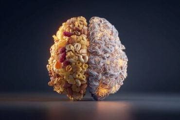Ultra-Processed Foods Erodes Visual Attention