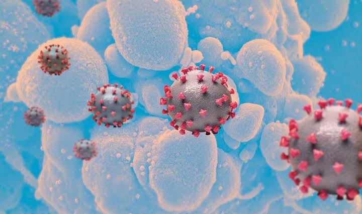 New COVID variant with immune escape potential confirmed in US, 22 other countries