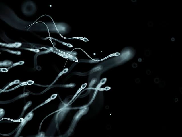 What men can do to produce healthy sperm