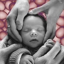 Can Man-Made Eggs Be the Future of Fertility?