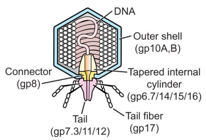 Infectious Information 3/27/2026
