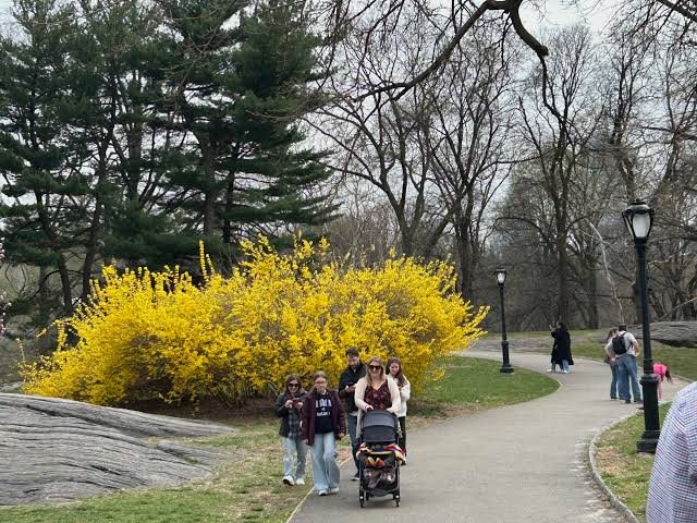 Monday Bulletin: Avian Influenza on the Rise in NYC; Chef Who Helped Put UWS on Culinary Map Dies After Short Illness; UWS Activist 'Still Burns After 50+ Years'; UWS April Real Estate Sales Off to a Good Start