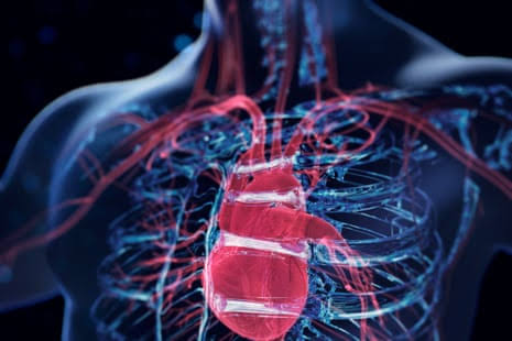 Scientists develop AI tool to spot heart failure risk five years before it strikes