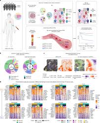 Non-invasive profiling of the tumour microenvironment with spatial ecotypes