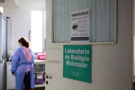 Potential case of hantavirus reported in Illinois, but it’s not linked to cruise ship outbreak
