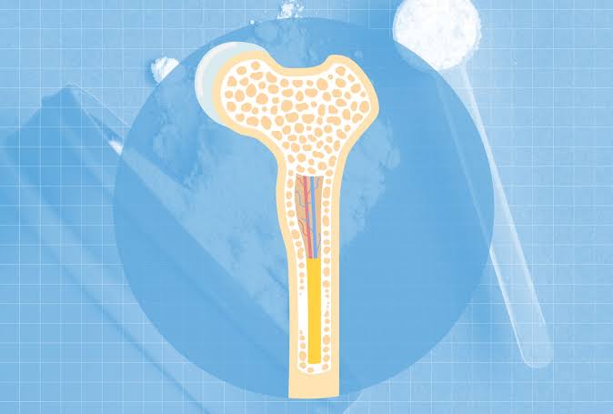 What Happens to Your Bone Density When You Take Creatine