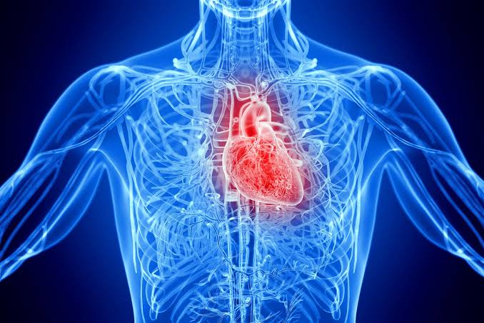 One in Five at Risk: Scientists Identify a Hidden Blood Particle Linked to Higher Risk of Stroke and Death