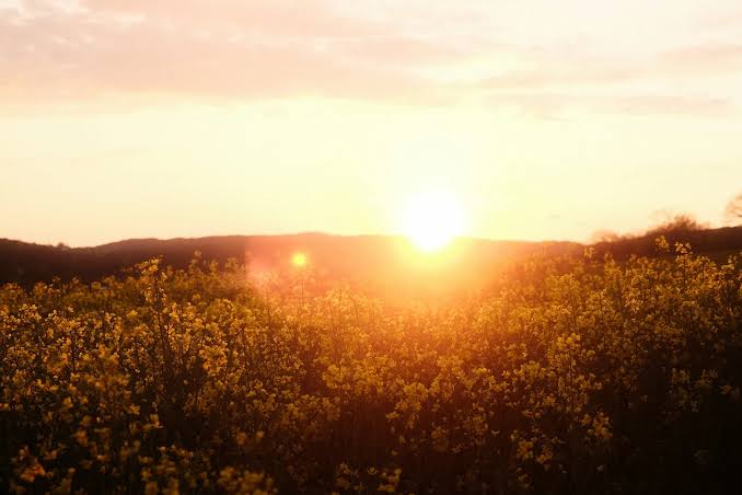 Beware the hidden skin cancer that’s more common than you’d think